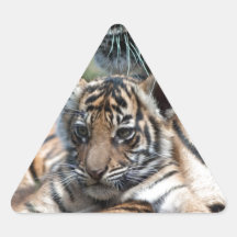 Tiger CUB Sticker
