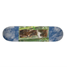 Tiger drei individuelle skateboards