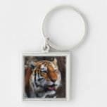 Tiger Keychain Schlüsselbänder