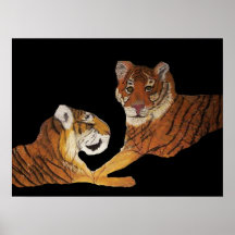 Tiger-Landschaft Ifran Posterdrucke