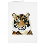 tiger paint karte