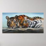 Tiger Posterdruck