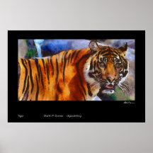 Tiger Poster