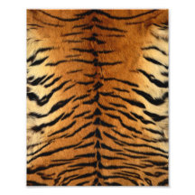 Tiger-Streifen-Pelz-Druck Photo