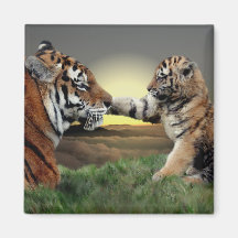 Tiger und CUB-Magnet Magnets