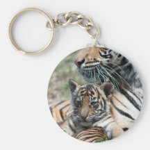 Tigerjunges Schlüsselband