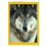 Timberwolf von Junglewalk.com Grußkarte