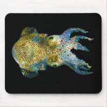 Tintenfisch-Bobtail Mehlkloß stämmiges Sepiola Atl Mousepad