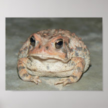 Toady Posterdrucke