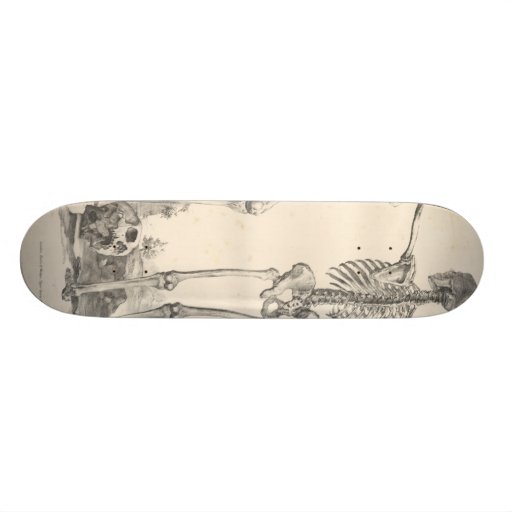 Tod ist wieder abschließend skateboarddeck