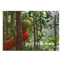 Tomate-Visitenkarte