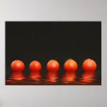 tomatoes rising from water posters
