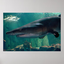 Toofy Li'l Grinsen Plakat