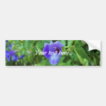 Torenia Auto Aufkleber
