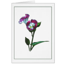 Torenia Blüten-botanische Anmerkungs-Karte