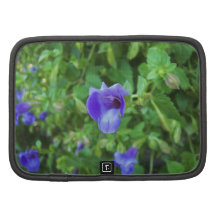 Torenia Mappe