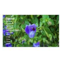 Torenia Visitenkartenvorlagen