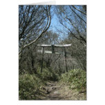 Torii-Unzendake-Nagasaki-Ken-NY Grußkarten