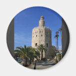 Torre Del Oro Kühlschrankmagnete
