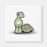 Total nackter Schildkröten-Magnet Kühlschrankmagnet