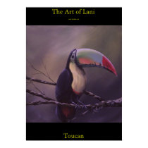 Toucan poster
