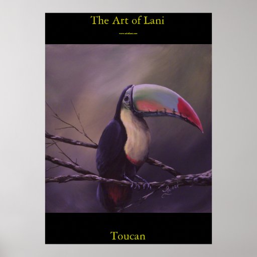 Toucan Plakate