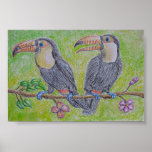 toucans plakate