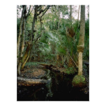 Tracey Niederlassung. Dreifache n-Ranch, Osceola C Photographie