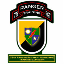 TrainingBn, 75. Förster-Regiment - im Flugzeug 2 Fotofigur