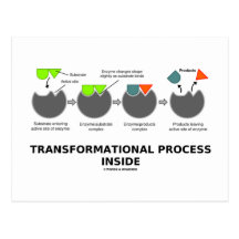Transformationsprozess-Innere (Enzym-Substrat) Postkarte