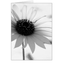 Transparente BW-Blumen-Anmerkungs-Karte