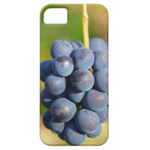 Trauben iPhone 5 Schutzhülle