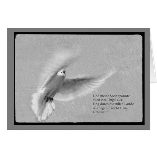 Trauerkarte Taube mit Spruch Und meine Seele Karten Zazzle