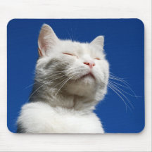 Traum der weißen Katze Mauspad