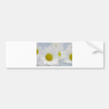 Träumen mit Natur Wellness Bildern Auto Sticker