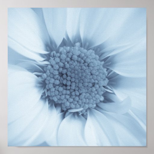 Träumerisches Blumenplakat