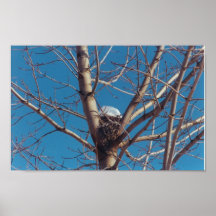 Treetop-Chalet - Druck Poster