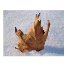 Treiben Sie im Schnee Blätter, wenn Herbst den Win Postkarten