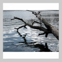 Treibholzreflexion poster