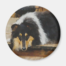 Tri Farberaue Collie-Geschenke Kühlschrankmagnete