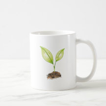 Trieb sprout kaffee tassen