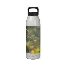 Trinkflasche Spinne im goldigen Netz