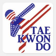Tritt USA Taekwondo (2) Quadratsticker