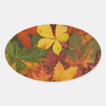 Trockenes Herbst-Blatt verlässt Brown gelbes rotes Ovale Aufkleber