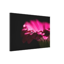 Tropfen des Wassers auf Gerbera Galerie Gefaltete Leinwand