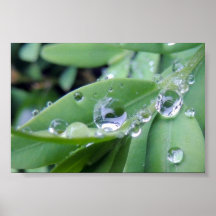 „Tropfen Wasser „postieren Plakatdruck