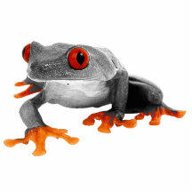 Tropische Frosch-Verzierung.! Photofigur