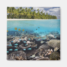 Tropische Lagune in SüdAri Atoll in Kühlschrankmagnet