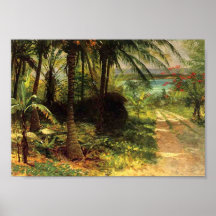 Tropische Landschaft Plakatdrucke