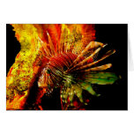 Tropische Lionfish-Foto-Kunst Karte